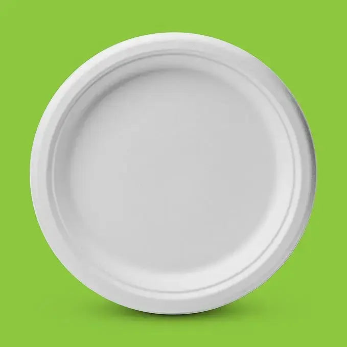 DTC disposable paper plates 12inch Round Plates