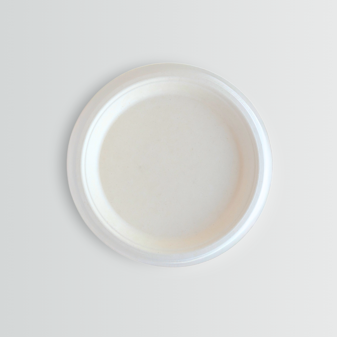 COMPOSTABLE 10 Inches Round Paper Plate No Compartments