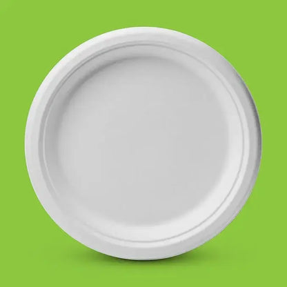 DTC disposable paper plates 12inch Round Plates