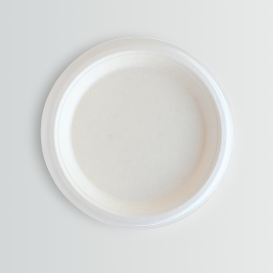 DTC 12 Inch Compostable Bagasse Round Paper Plate – 500 PCS | Eco-Friendly & Biodegradable DTC Recycling
